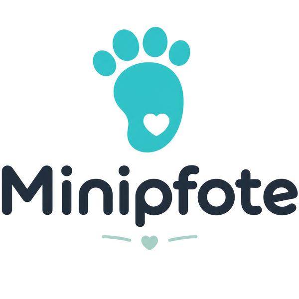 Mein Shop